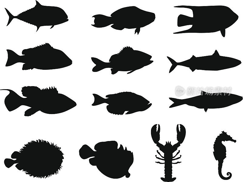 鱼和海洋生物的剪影;Adobe Illustrator制作